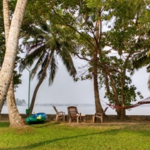 coconut tree lawn