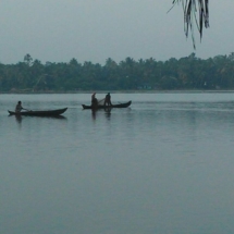 traditional fishing in kumbalangi cochin